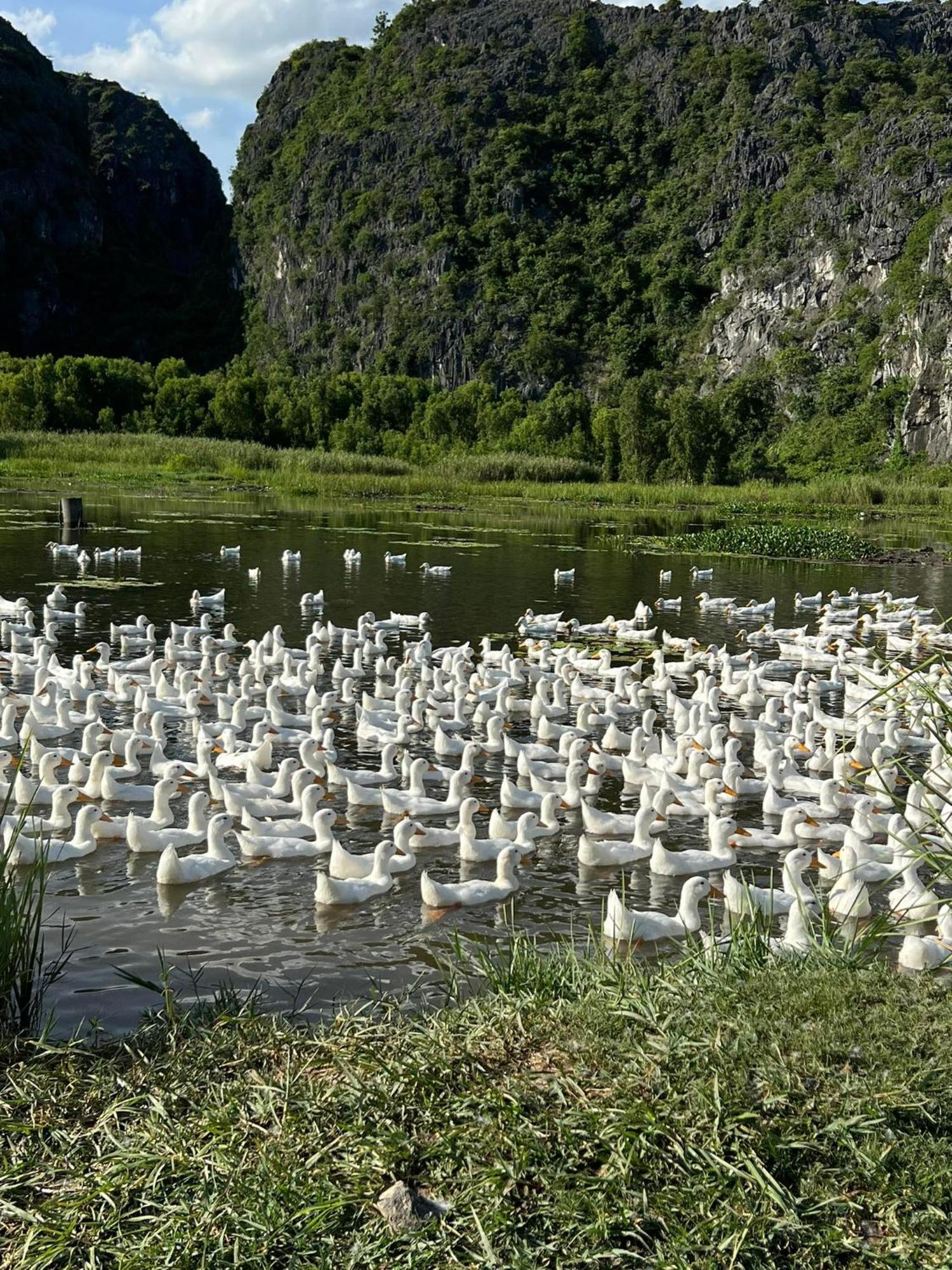 Nha Lua Homestay Ninh Binh Esterno foto
