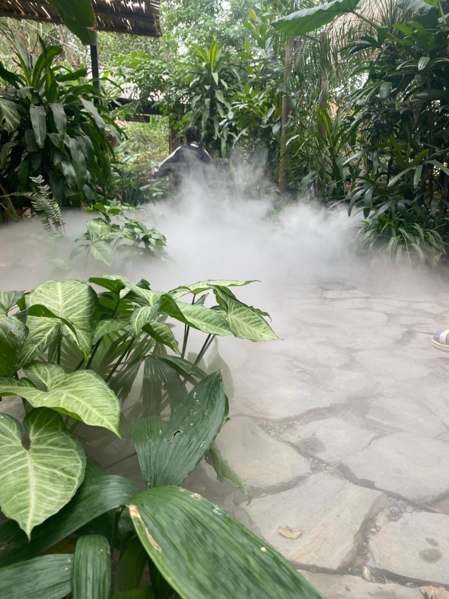 Nha Lua Homestay Ninh Binh Esterno foto
