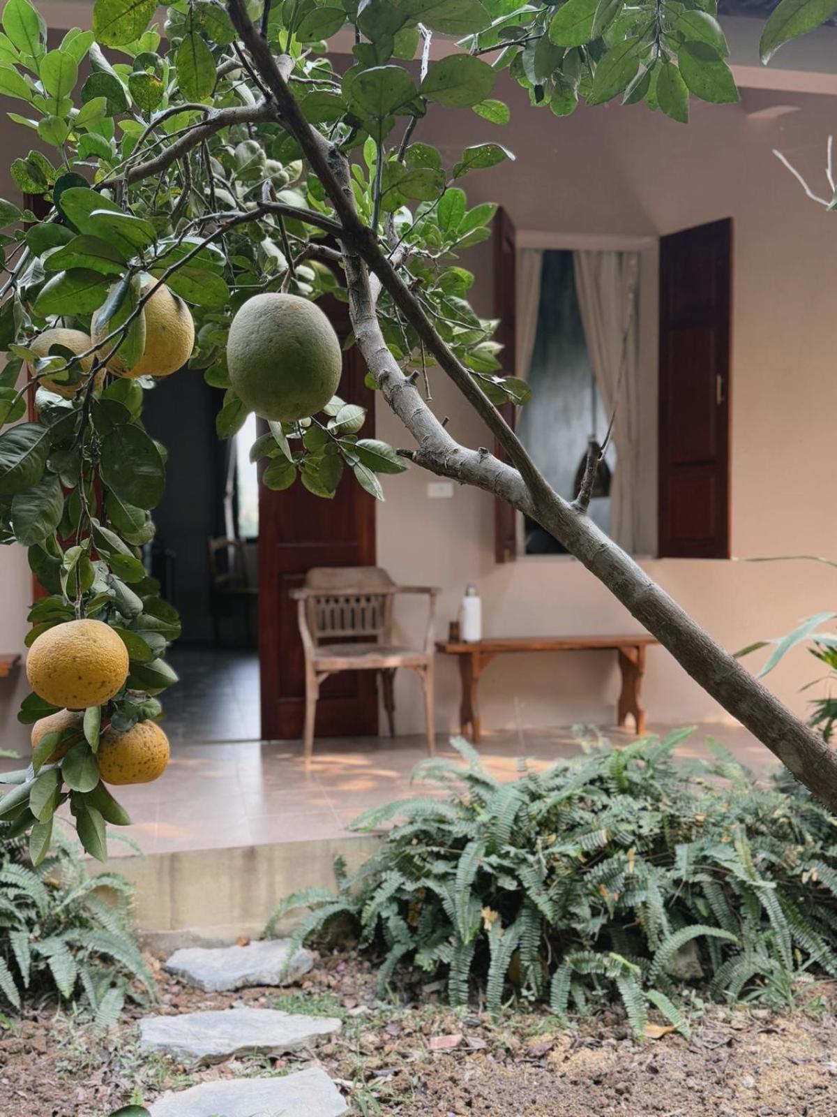 Nha Lua Homestay Ninh Binh Esterno foto